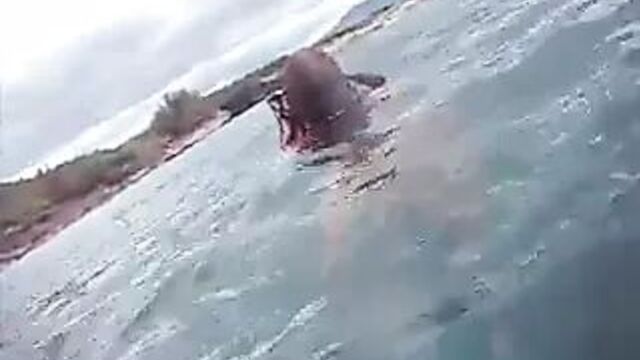 Nipslip - Girl diving accidentally exposed her awesome boobs