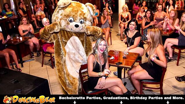 Dancing Bear In The Club