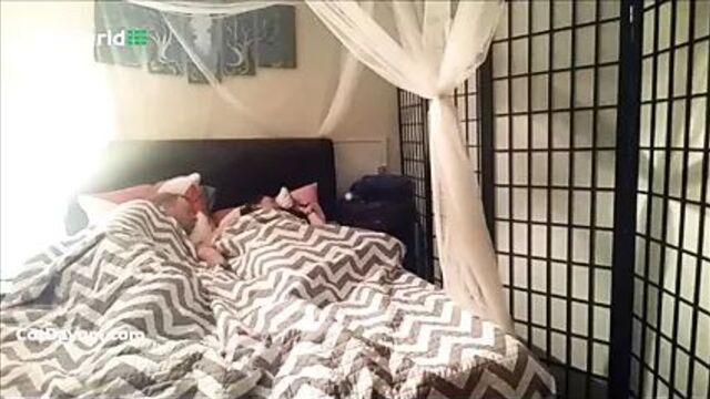 Wet and Bubbly Farts