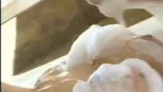 Shauna O Brien 46 - 2506