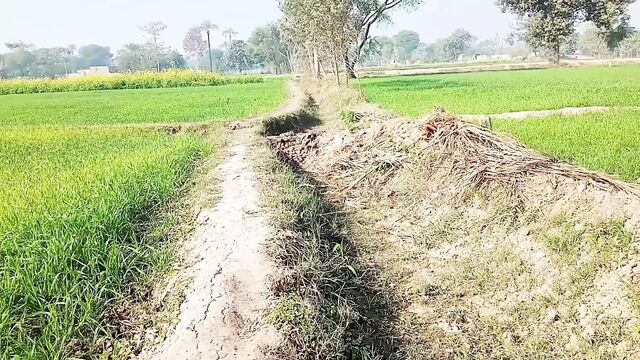 Pakistani desi village girl sex with driver on road