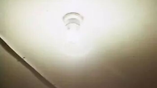 Playboy Playmate Dorothy Stratten whipped