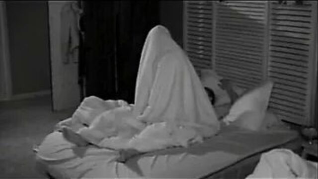 Big Brother Sweden Thornborn and anna sex