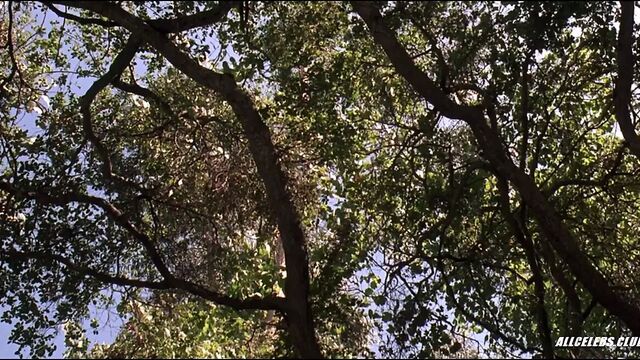 Debi Sue Voorhees in Friday the 13th: A New Beginning