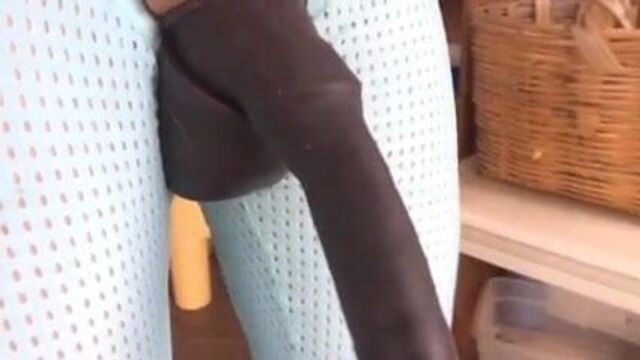 Pegasus horse cock extended with tail