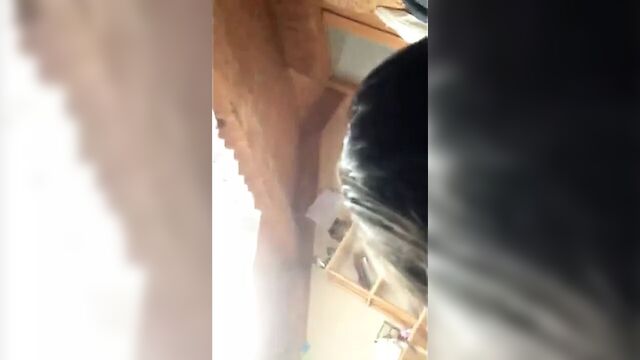 Bulgarian cocksucker Monika