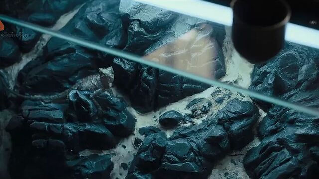 Claire Foy - The Girl in the Spiders Web 2018