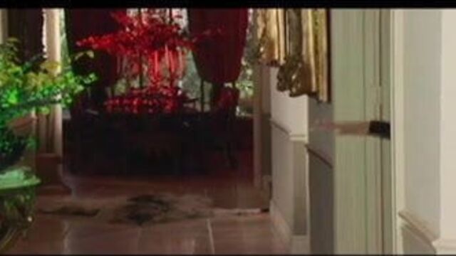 Black Stockings Tiffany Taylor Hard Fucking Lingerie