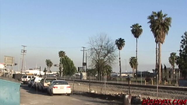 Exhibitionist Goldie Coxx roams the streets naked